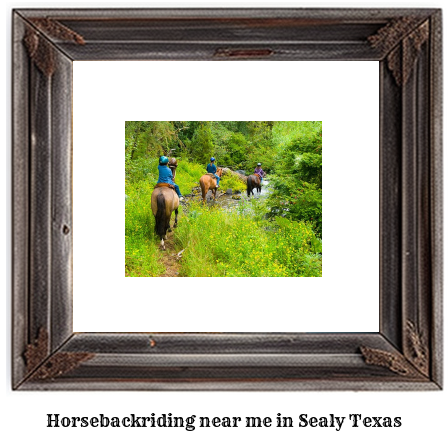 horseback riding near me in Sealy, Texas